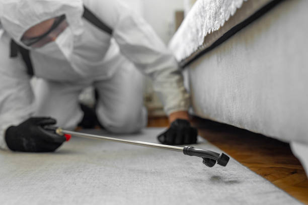 Professional Bed Bug Control technician working in Bethlehem, PA